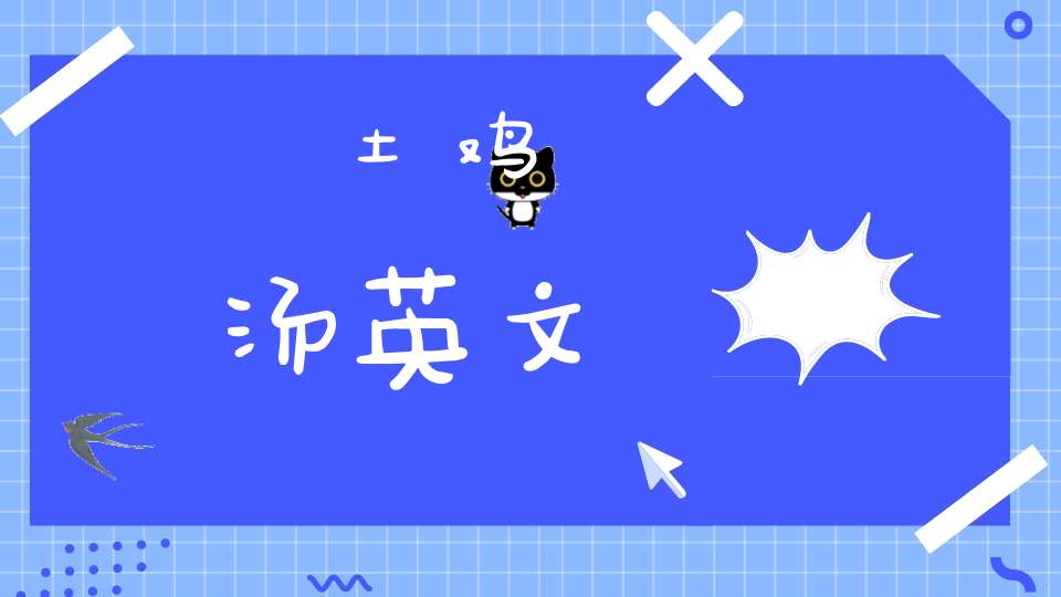 土鸡汤英文