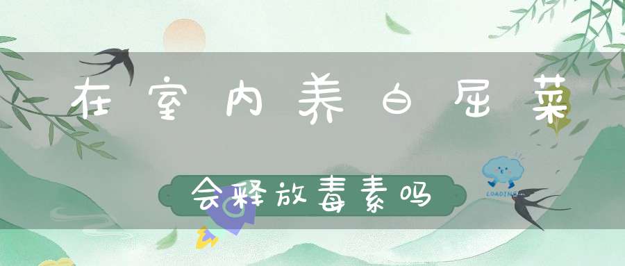 在室内养白屈菜会释放毒素吗？