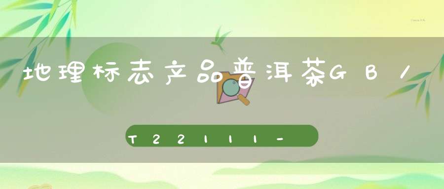 地理标志产品普洱茶GB/T22111-2008