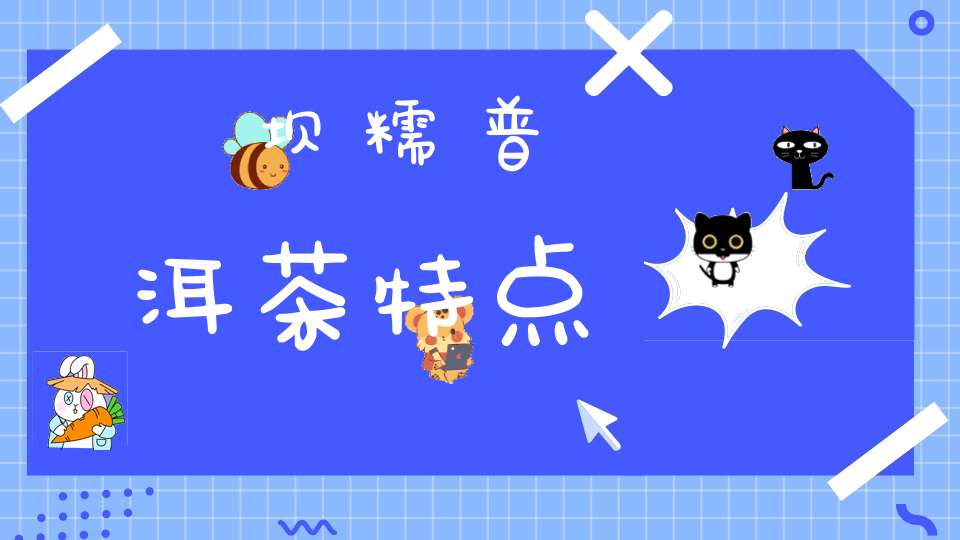 坝糯普洱茶特点