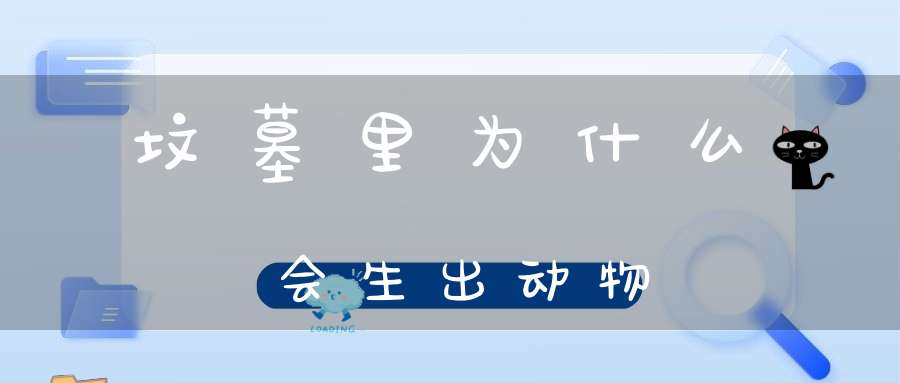 坟墓里为什么会生出动物