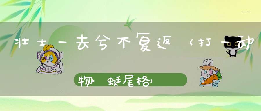 壮士一去兮不复返（打一动物·蜓尾格）
