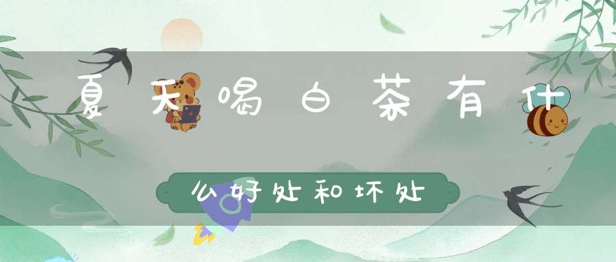 夏天喝白茶有什么好处和坏处