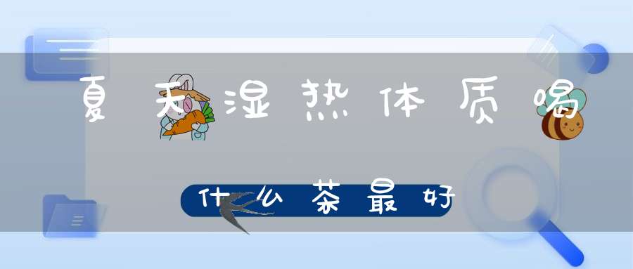 夏天湿热体质喝什么茶最好