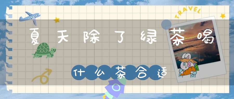 夏天除了绿茶喝什么茶合适