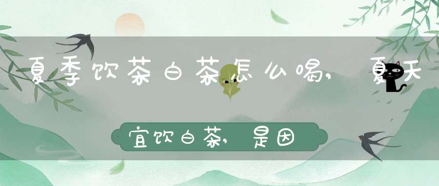 夏季饮茶白茶怎么喝,夏天宜饮白茶,是因为白茶是