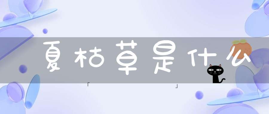 夏枯草是什么？