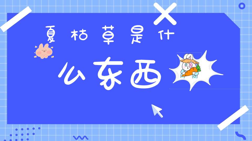 夏枯草是什么东西？