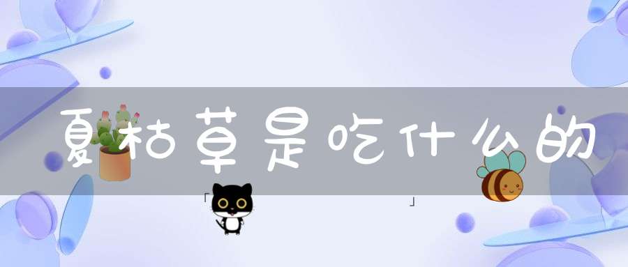 夏枯草是吃什么的？