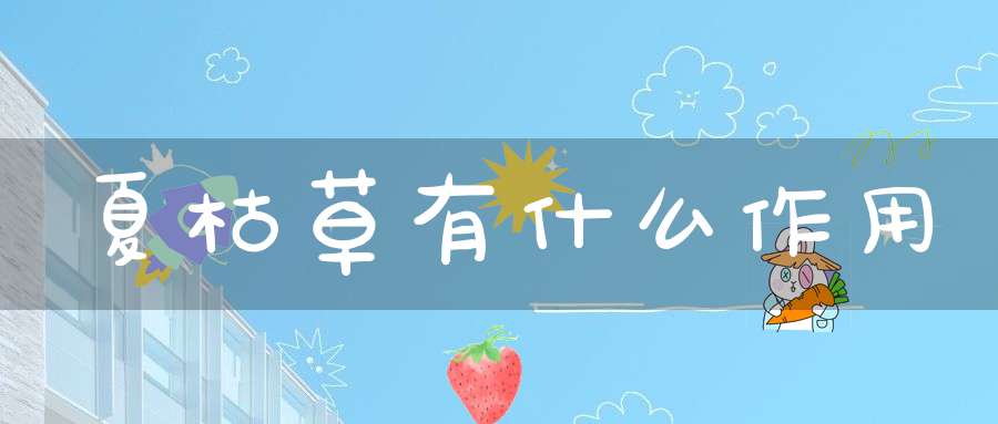 夏枯草有什么作用？