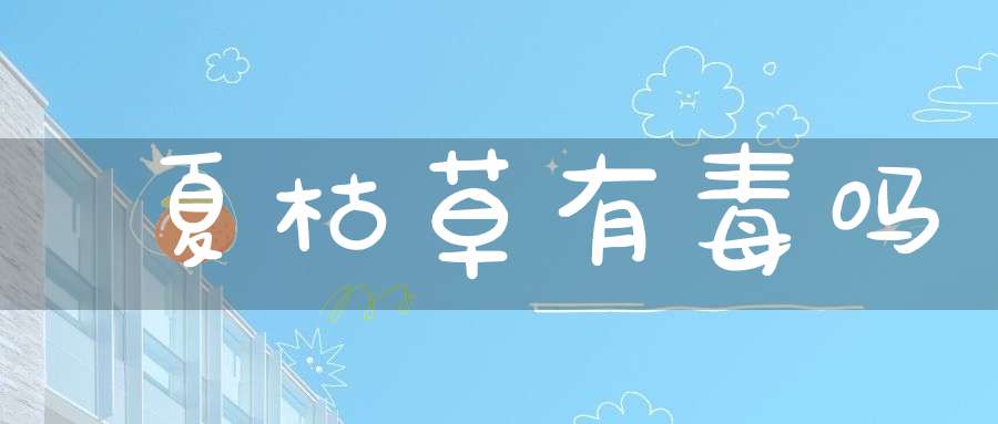 夏枯草有毒吗？