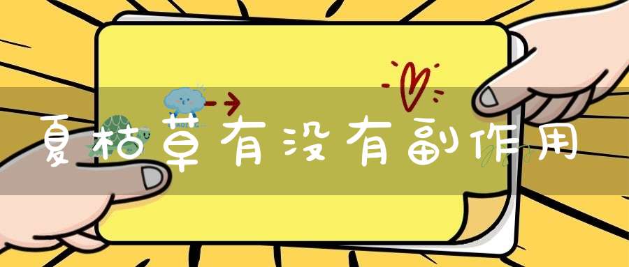 夏枯草有没有副作用？