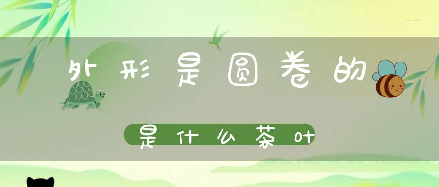 外形是圆卷的是什么茶叶