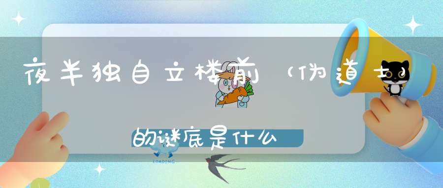 夜半独自立楼前 （伪道士）的谜底是什么?