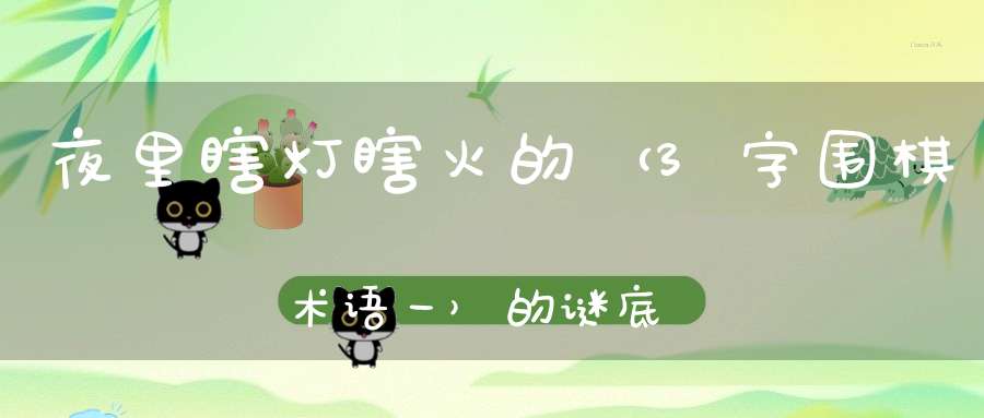 夜里瞎灯瞎火的 （3字围棋术语一）的谜底是什么?