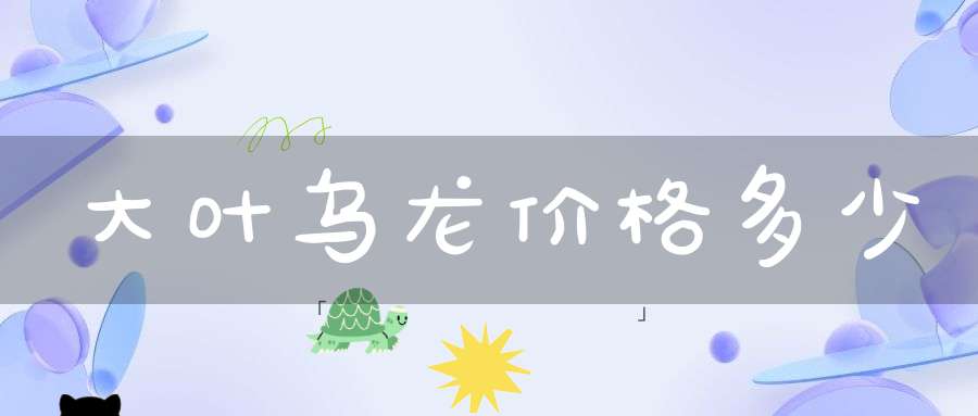 大叶乌龙价格多少