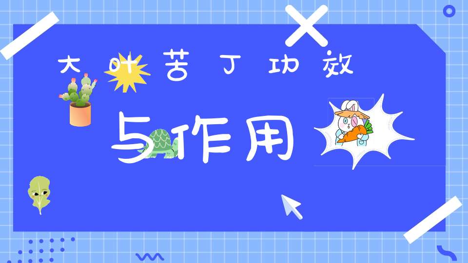 大叶苦丁功效与作用