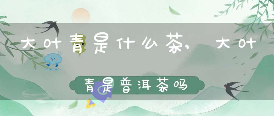 大叶青是什么茶?,大叶青是普洱茶吗