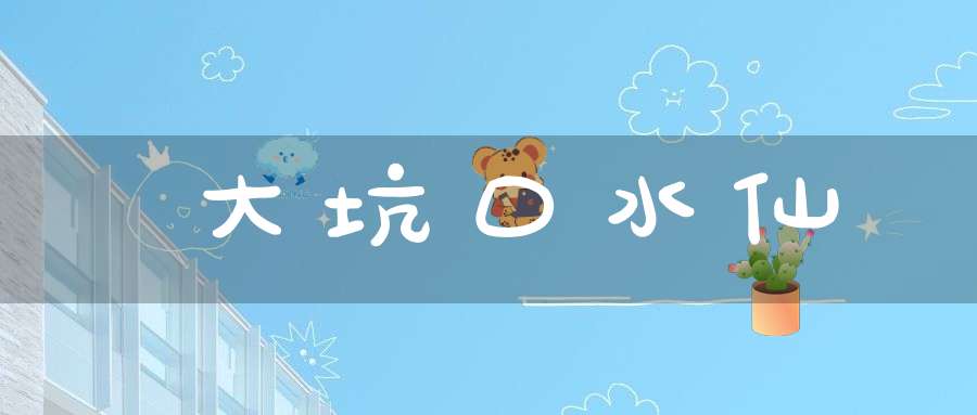 大坑口水仙