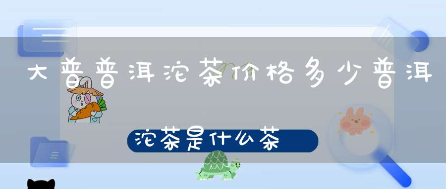 大普普洱沱茶价格多少普洱沱茶是什么茶
