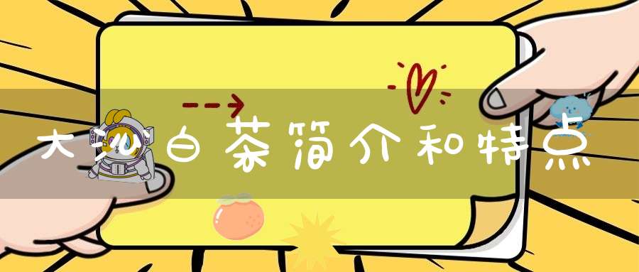 大沁白茶简介和特点