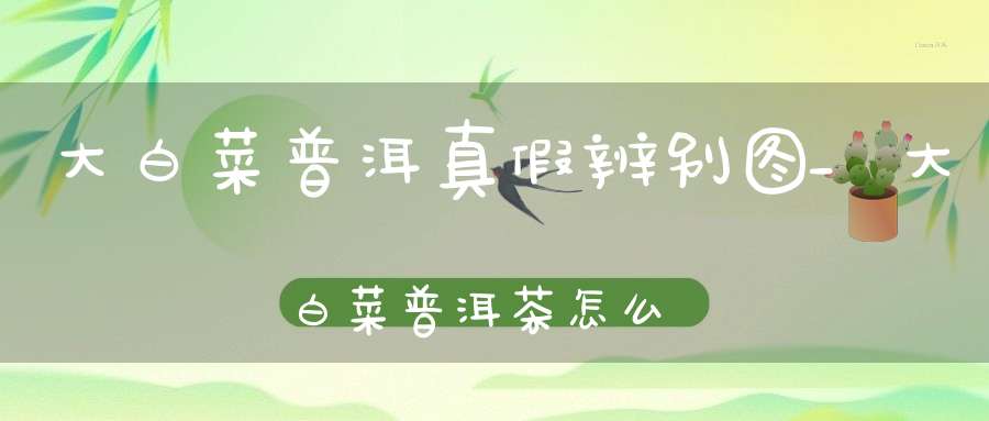 大白菜普洱真假辨别图_大白菜普洱茶怎么辨别