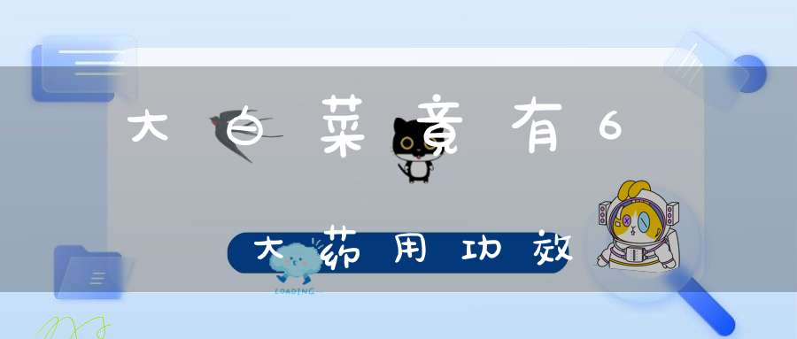 大白菜竟有6大药用功效