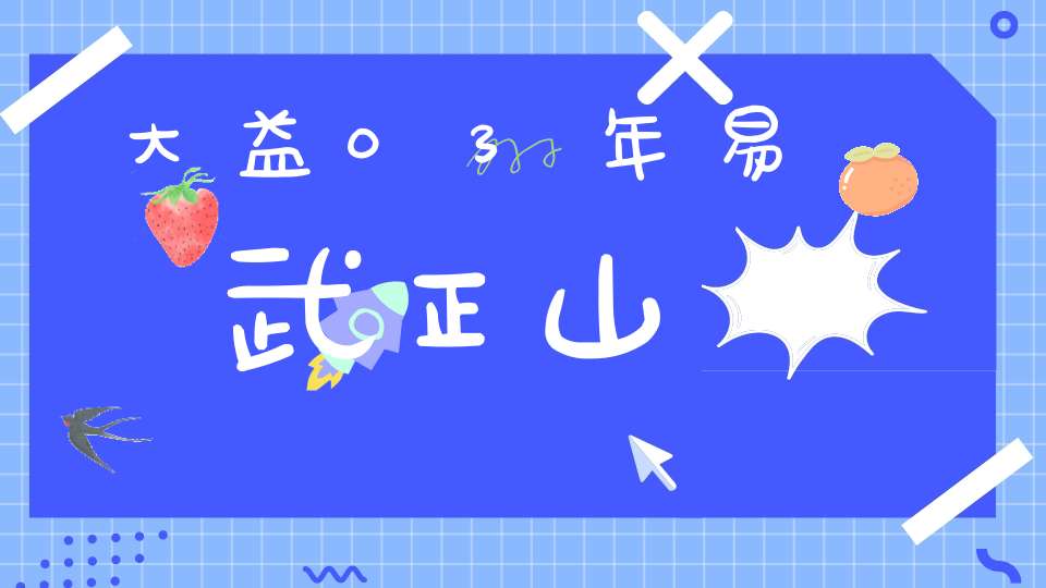 大益03年易武正山