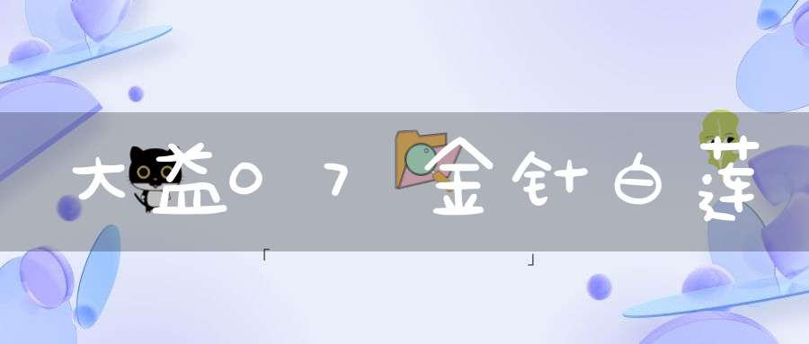 大益07金针白莲