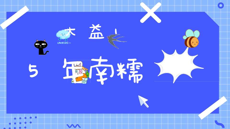 大益15年南糯