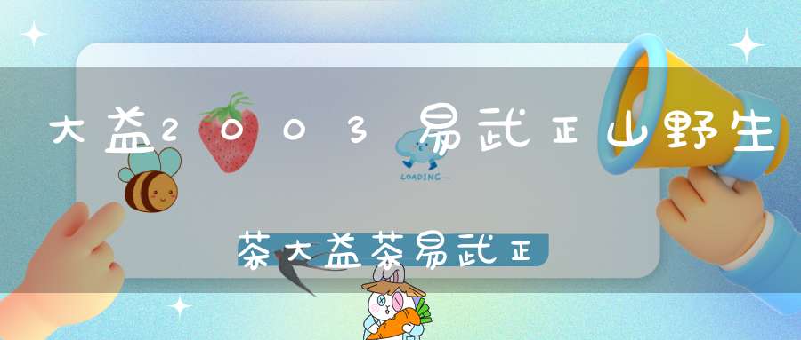 大益2003易武正山野生茶大益茶易武正山2010怎么样