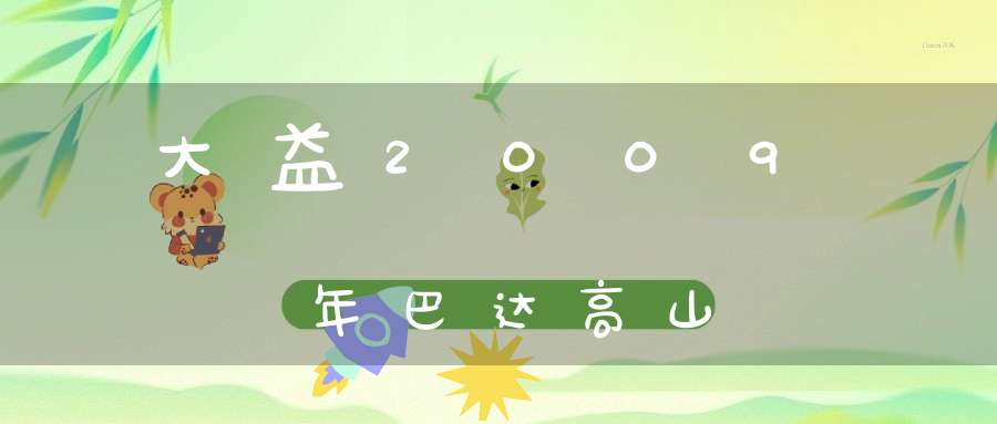大益2009年巴达高山
