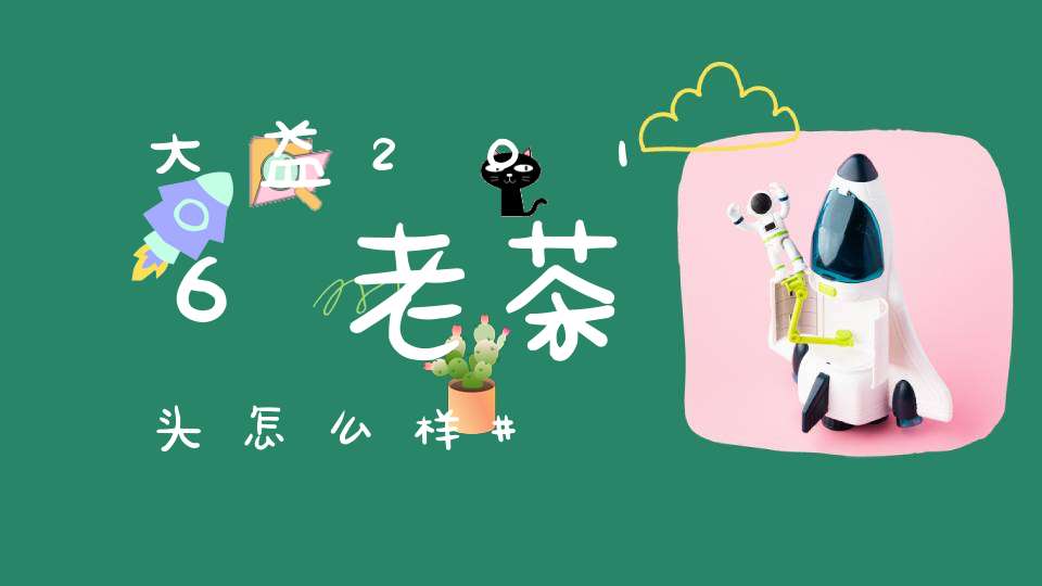 大益2016老茶头怎么样