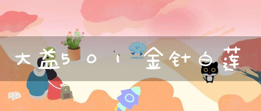 大益501金针白莲