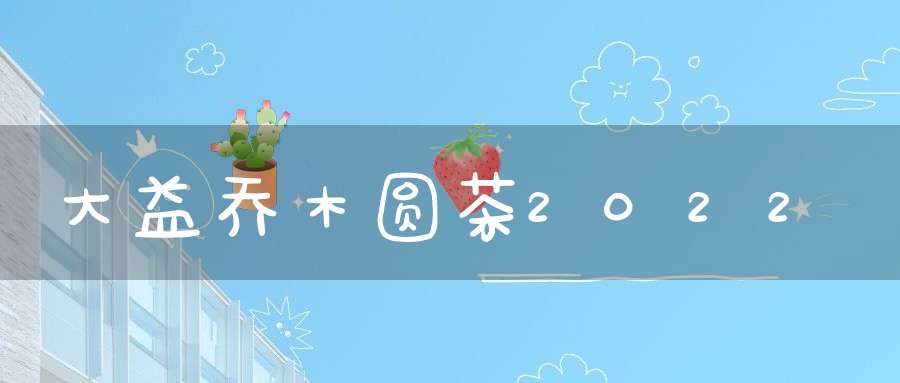 大益乔木圆茶2022