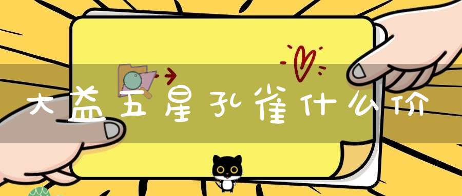 大益五星孔雀什么价