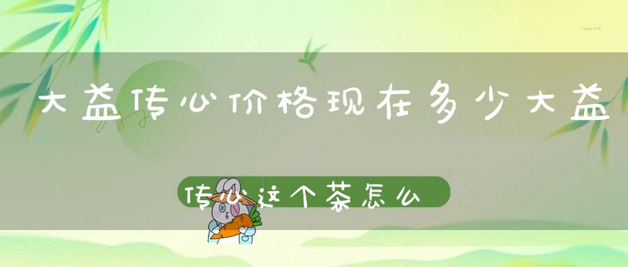 大益传心价格现在多少?大益传心这个茶怎么样