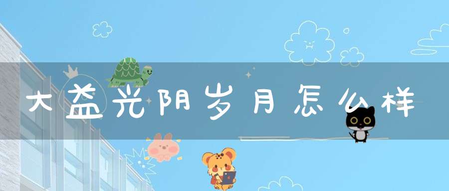 大益光阴岁月怎么样