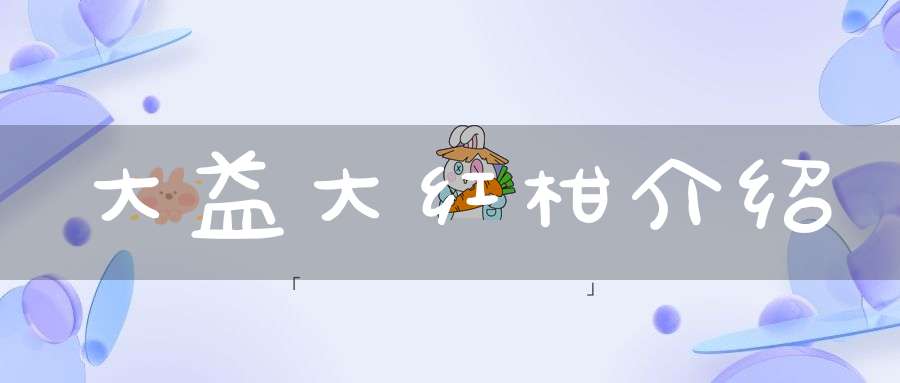 大益大红柑介绍