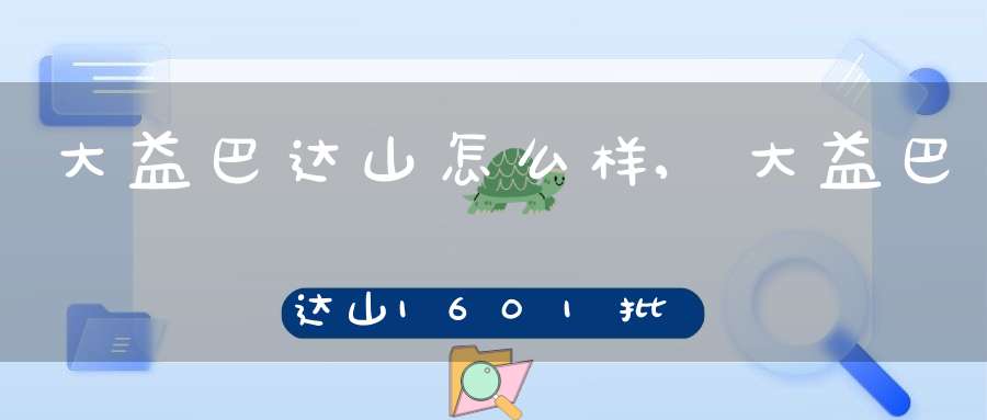 大益巴达山怎么样,大益巴达山1601批次价格