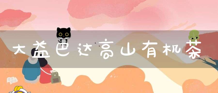 大益巴达高山有机茶