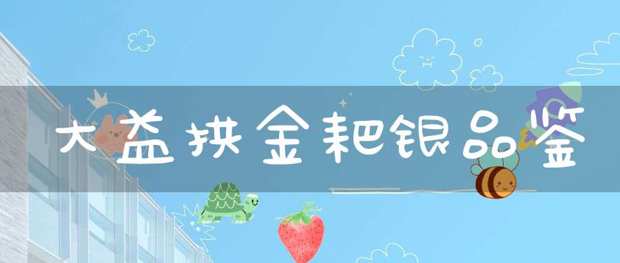 大益拱金耙银品鉴