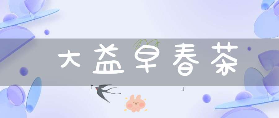 大益早春茶
