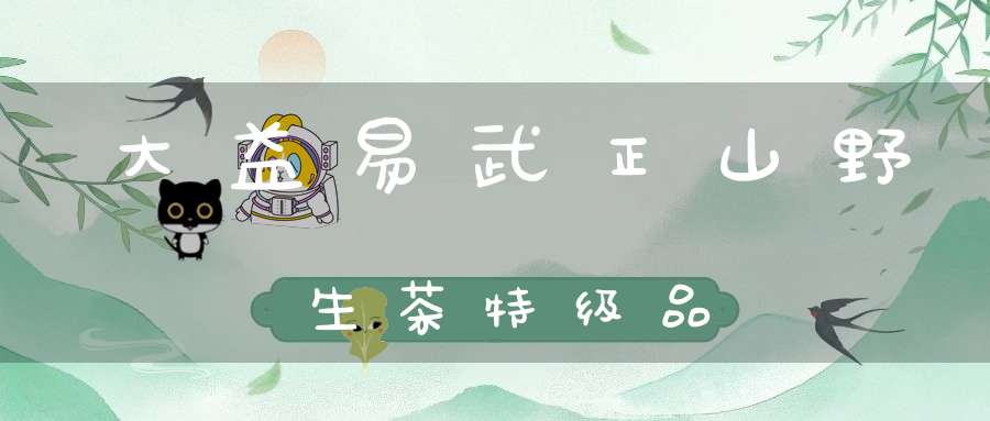 大益易武正山野生茶特级品