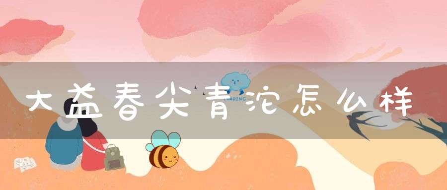 大益春尖青沱怎么样