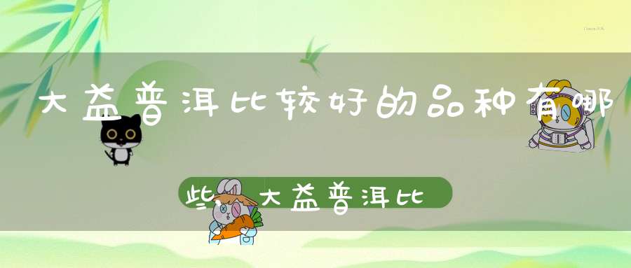 大益普洱比较好的品种有哪些,大益普洱比较好的品种是哪个