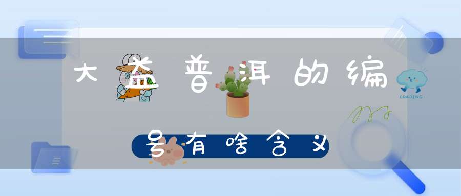 大益普洱的编号有啥含义