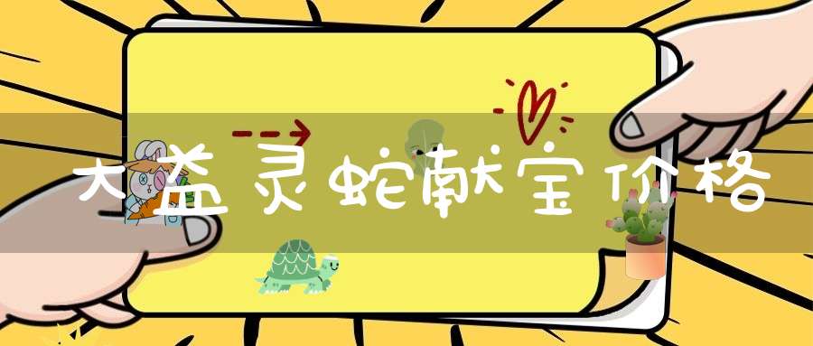 大益灵蛇献宝价格