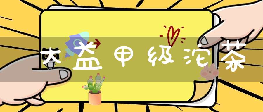 大益甲级沱茶