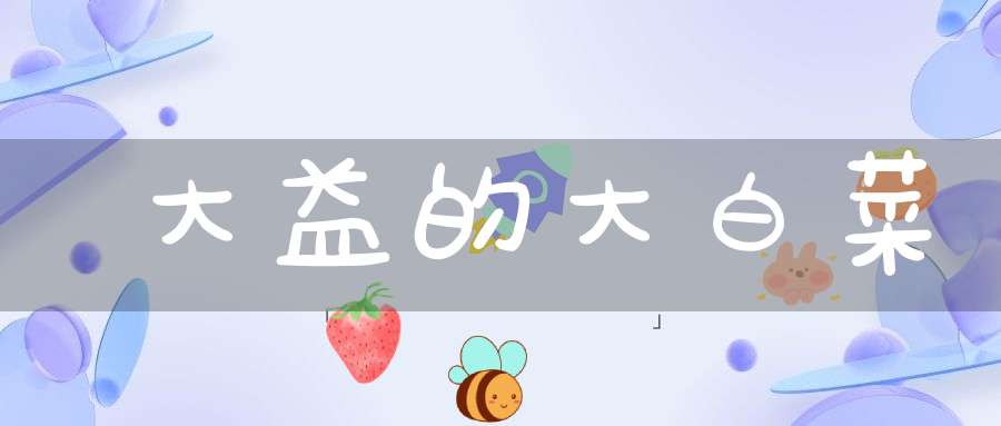 大益的大白菜